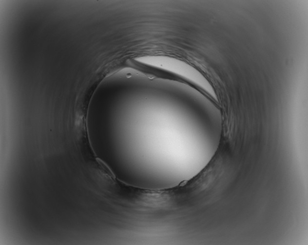 X0000090720521200707201351