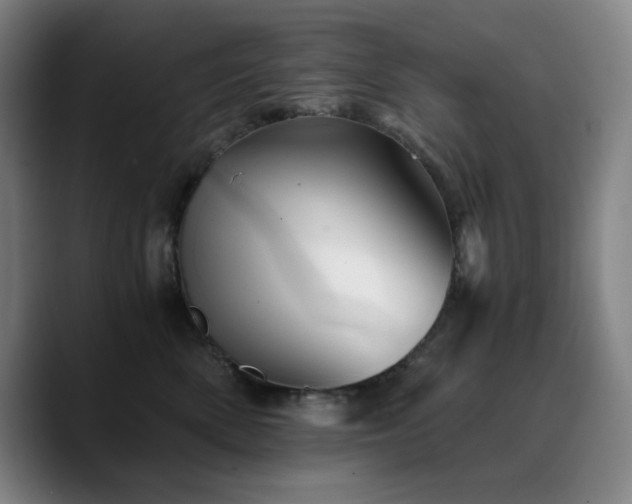 X0000090720522200707201351
