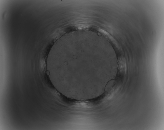 X0000090720523200707201351