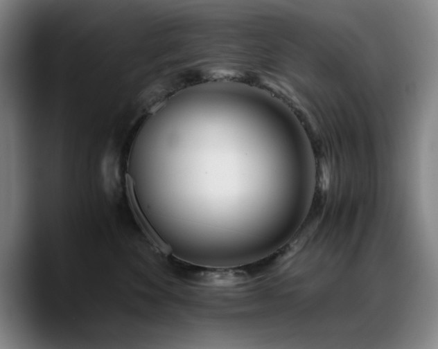 X0000090720524200707201351