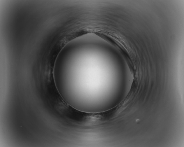 X0000090720525200707201351