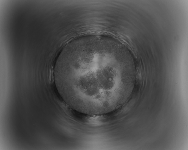 X0000090720527200707201351