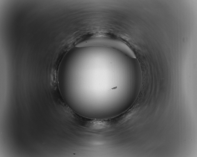 X0000090720528200707201351