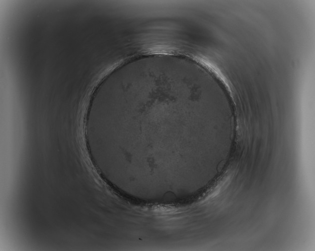X0000090720529200707201350