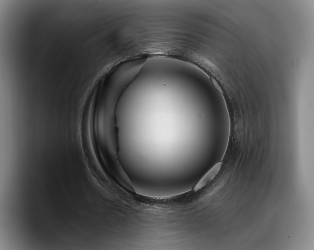 X0000090720530200707201350