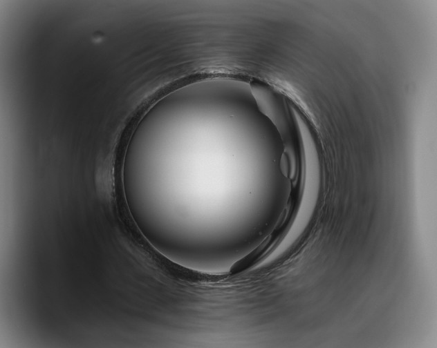 X0000090720531200707201350