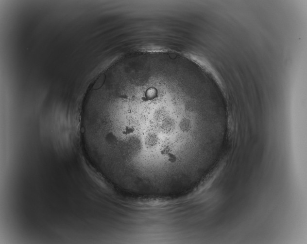 X0000090720533200707201350