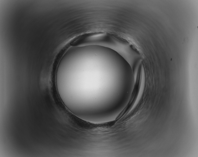 X0000090720536200707201350