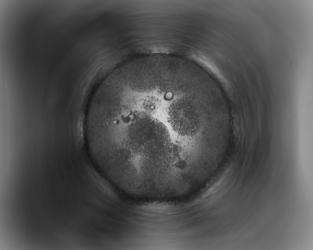 X0000090720537200707201350