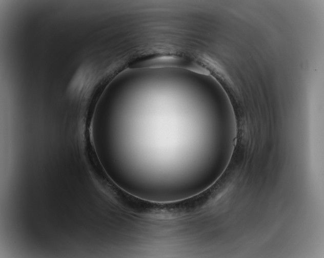X0000090720538200707201350