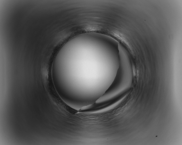 X0000090720539200707201350