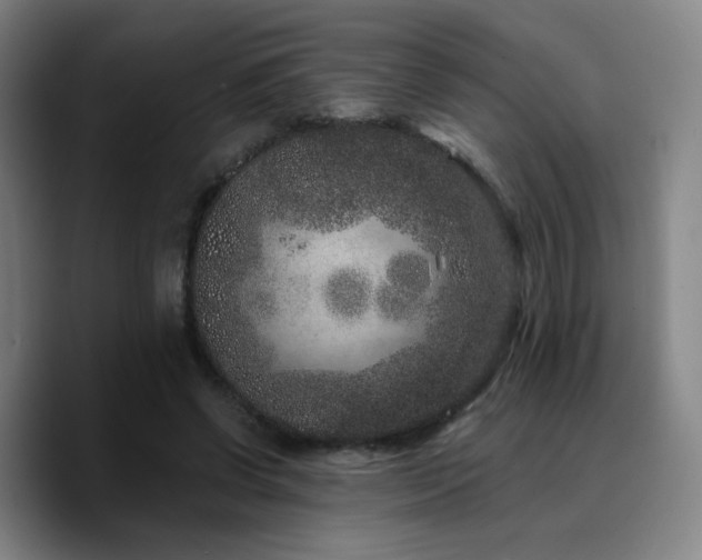 X0000090720542200707201350
