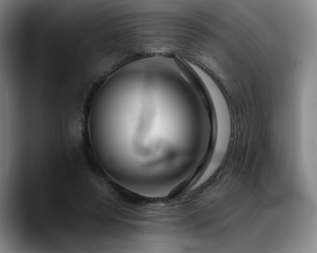 X0000090720544200707201350