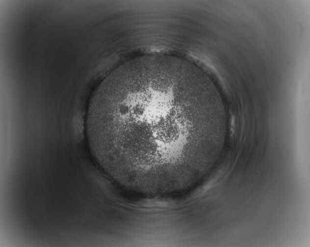 X0000090720545200707201350