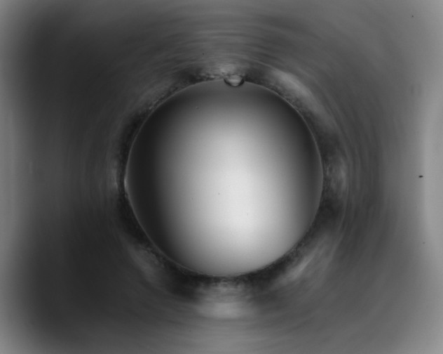 X0000090720546200707201350