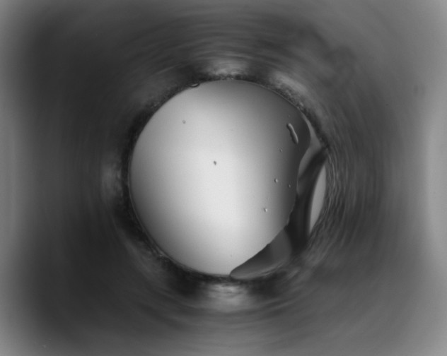 X0000090720547200707201350