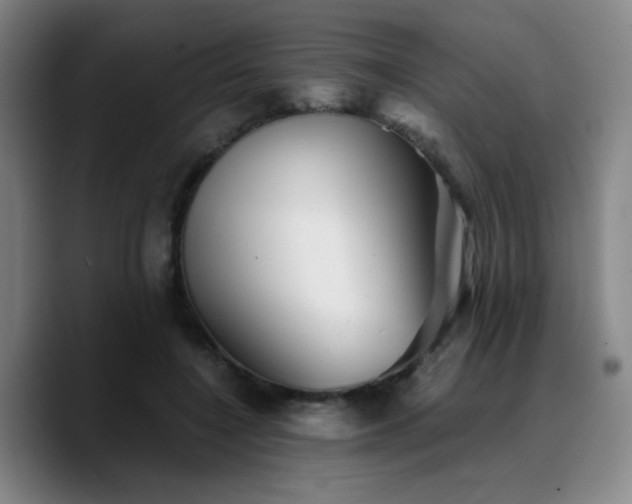 X0000090720548200707201350