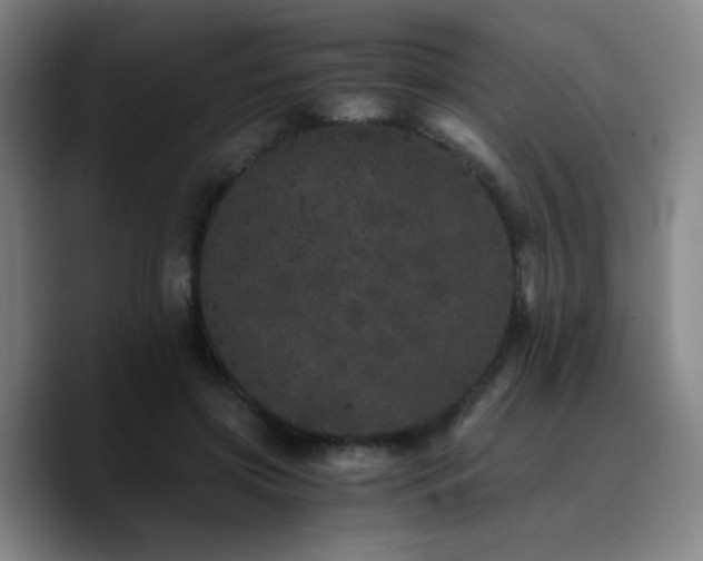 X0000090720549200707201350