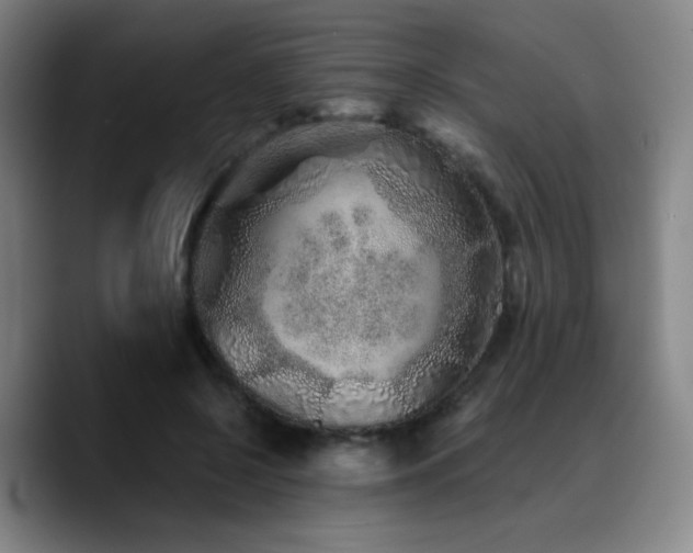 X0000090720550200707201350
