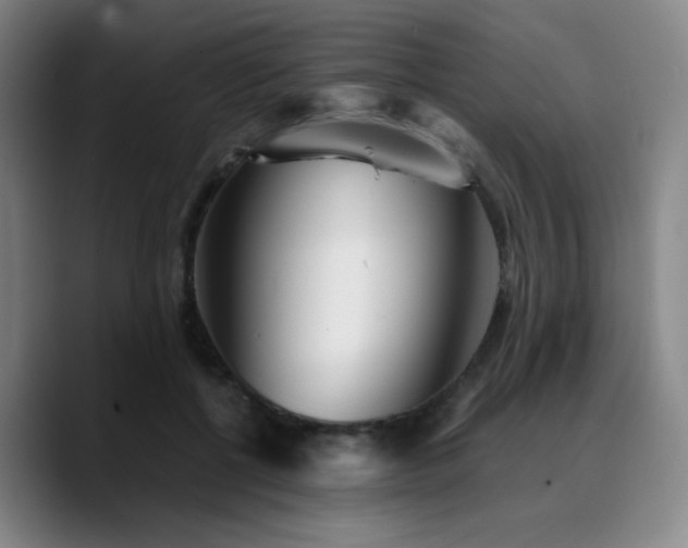 X0000090720552200707201350