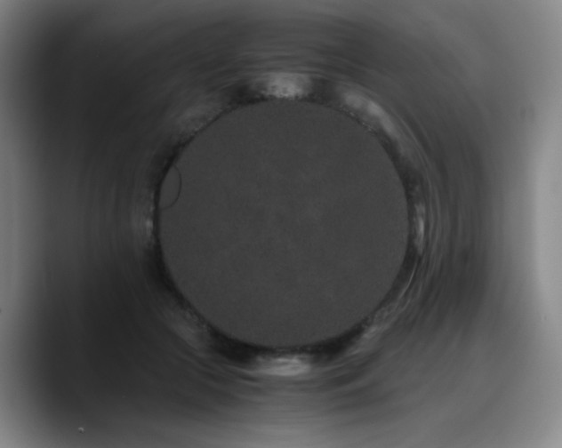 X0000090720553200707201350