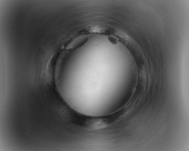 X0000090720554200707201350