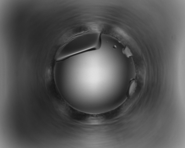 X0000090720556200707201350