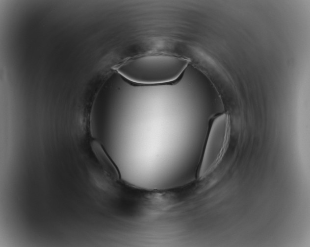 X0000090720558200707201350