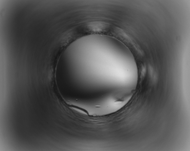 X0000090720559200707201350