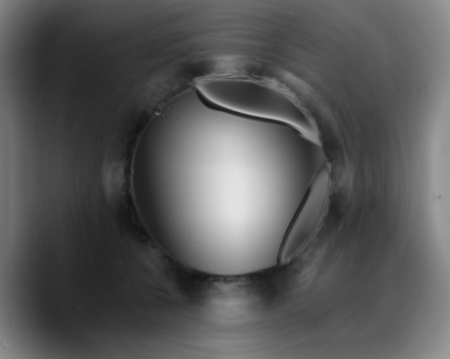X0000090720560200707201350