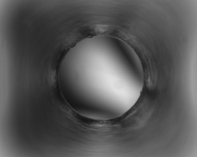 X0000090720563200707201350