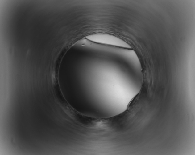 X0000090720564200707201350