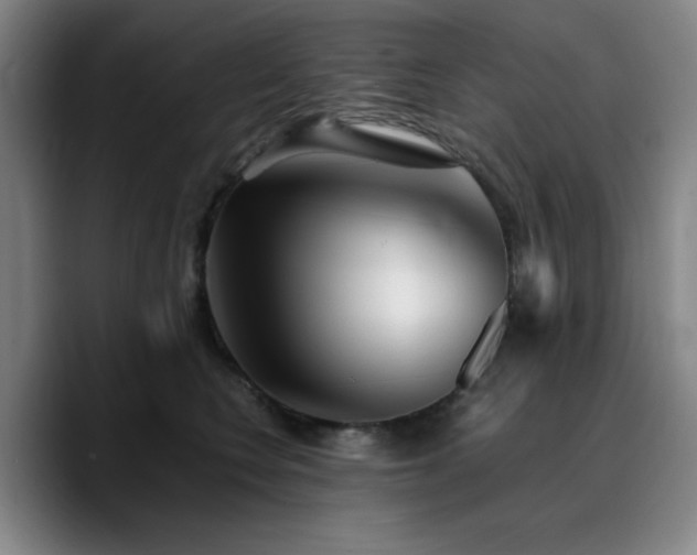 X0000090720566200707201351