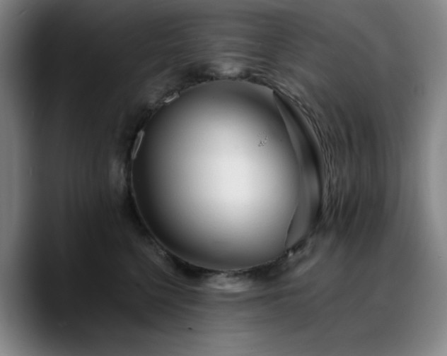 X0000090720568200707201351