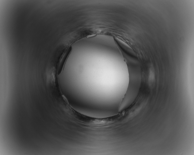 X0000090720570200707201351