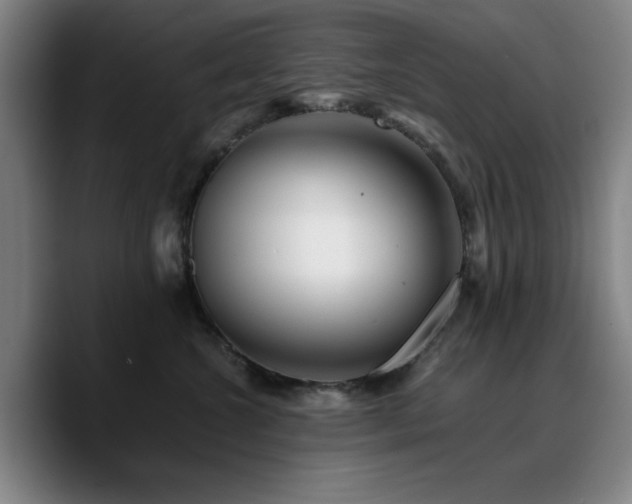 X0000090720572200707201351