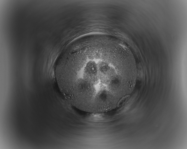 X0000090720573200707201351