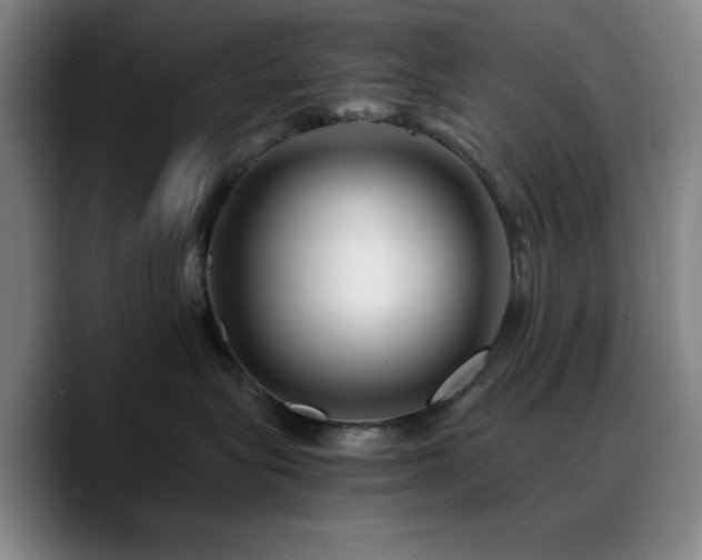 X0000090720575200707201351