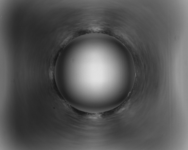 X0000090720576200707201351