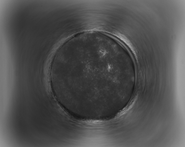 X0000090720577200707201350