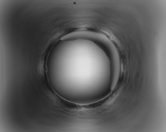 X0000090720585200707201350