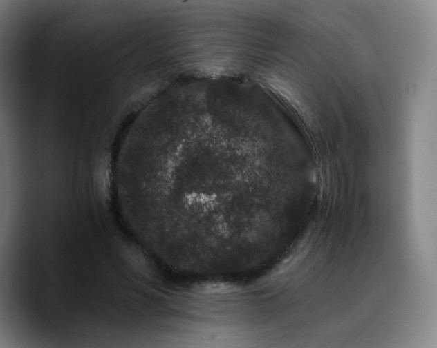X0000090720590200707201350