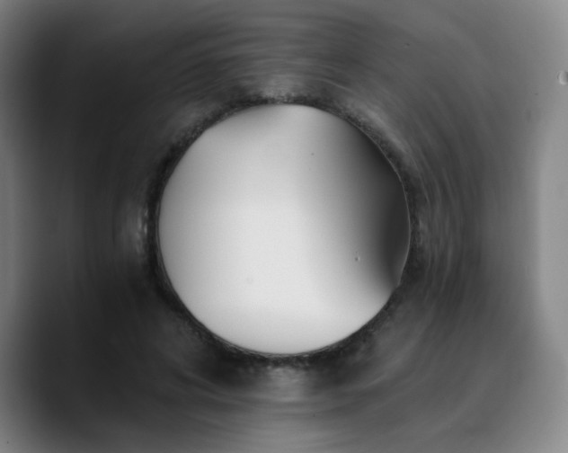 X0000090720592200707201350