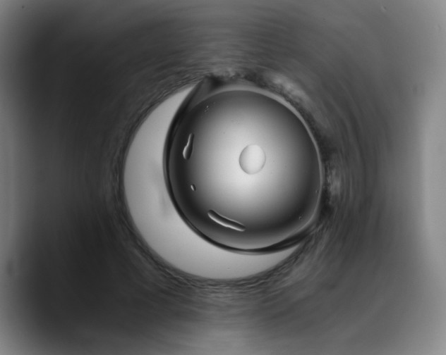 X0000090720593200707201350