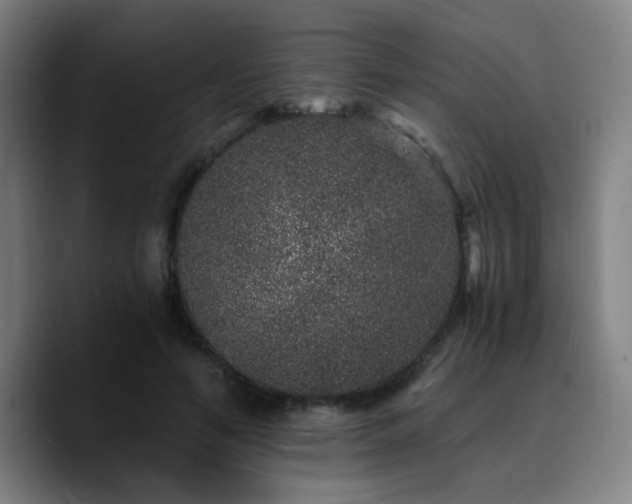 X0000090720594200707201350