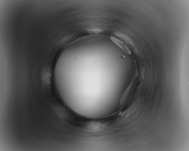 X0000090720596200707201350