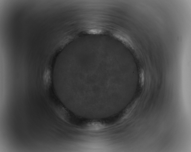 X0000090720598200707201350