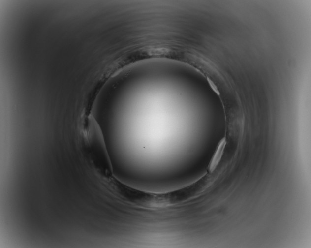 X0000090720604200707201350