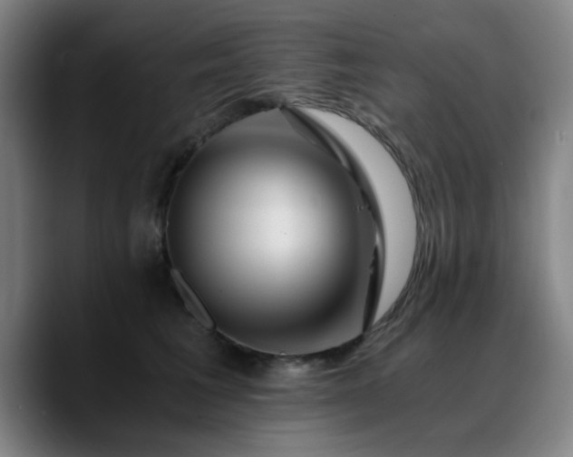 X0000090720613200707201350