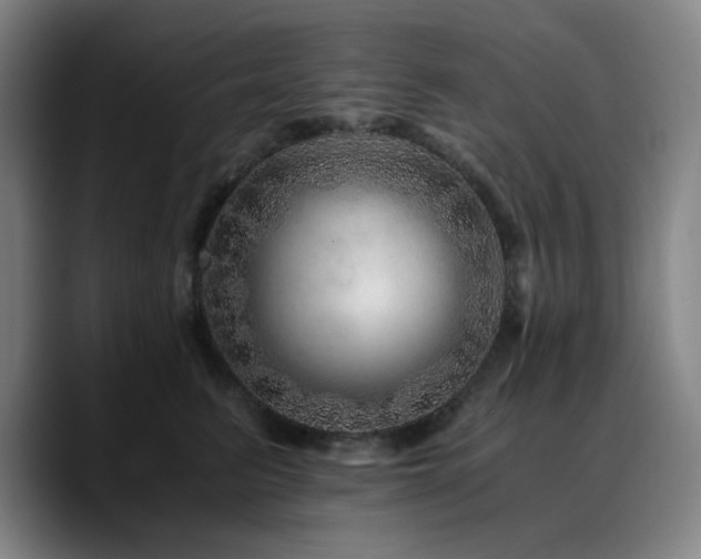 X0000090720615200707201350